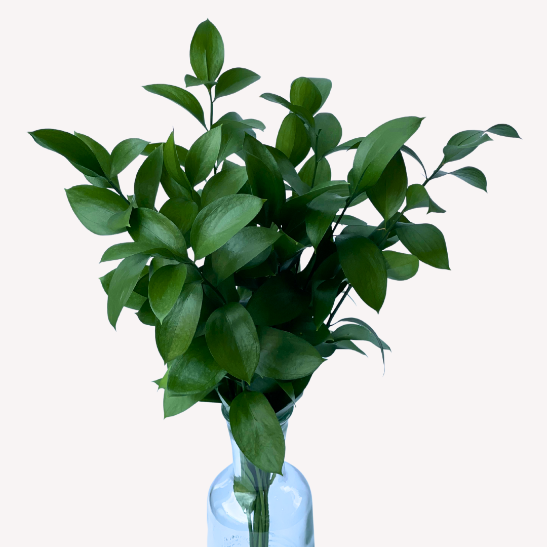 RUSCUS