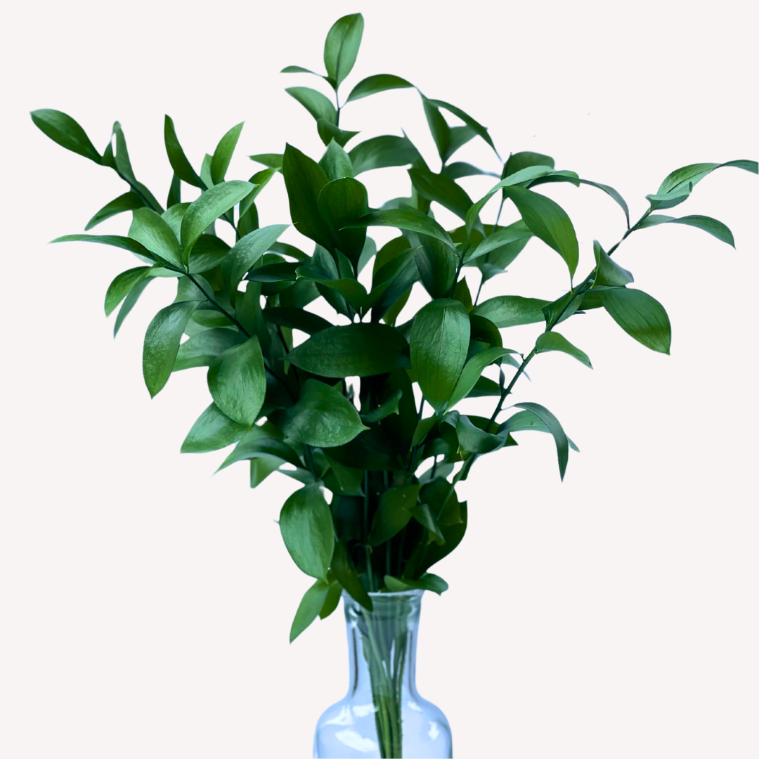 RUSCUS