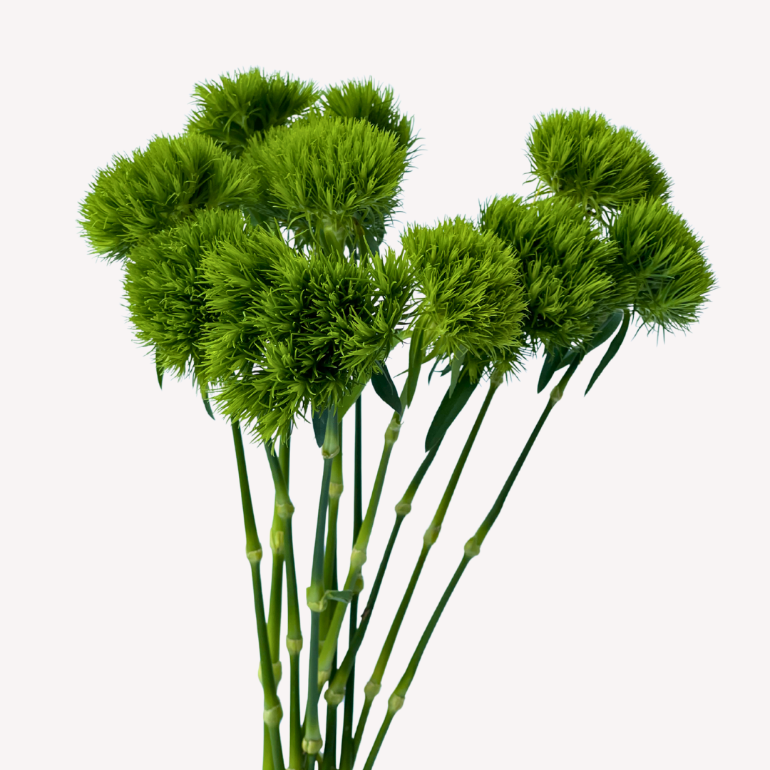 GREEN BALL